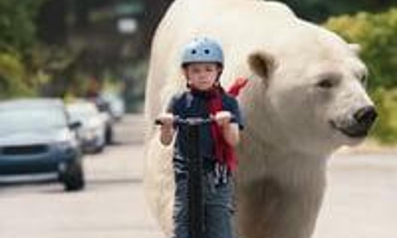 header image for Timmy Failure: Mistakes Were Made