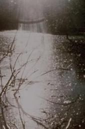 Report from Millbrook