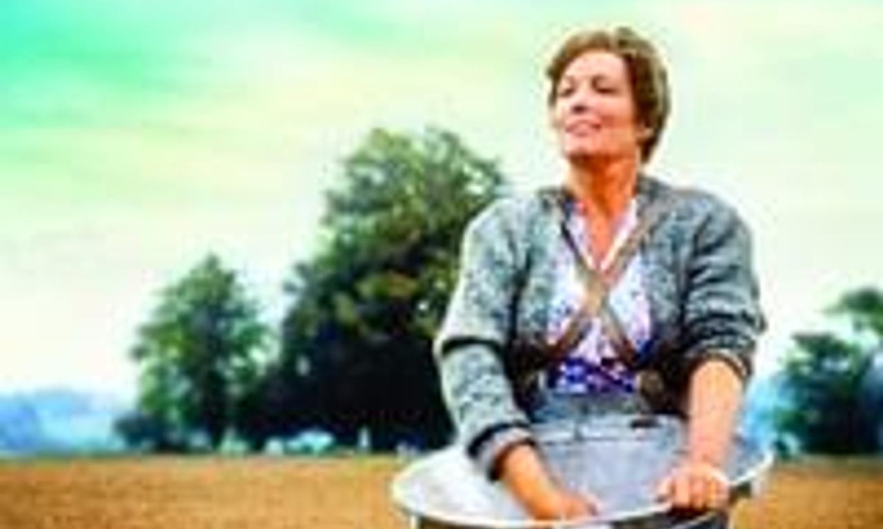 header image for Antonia's Line