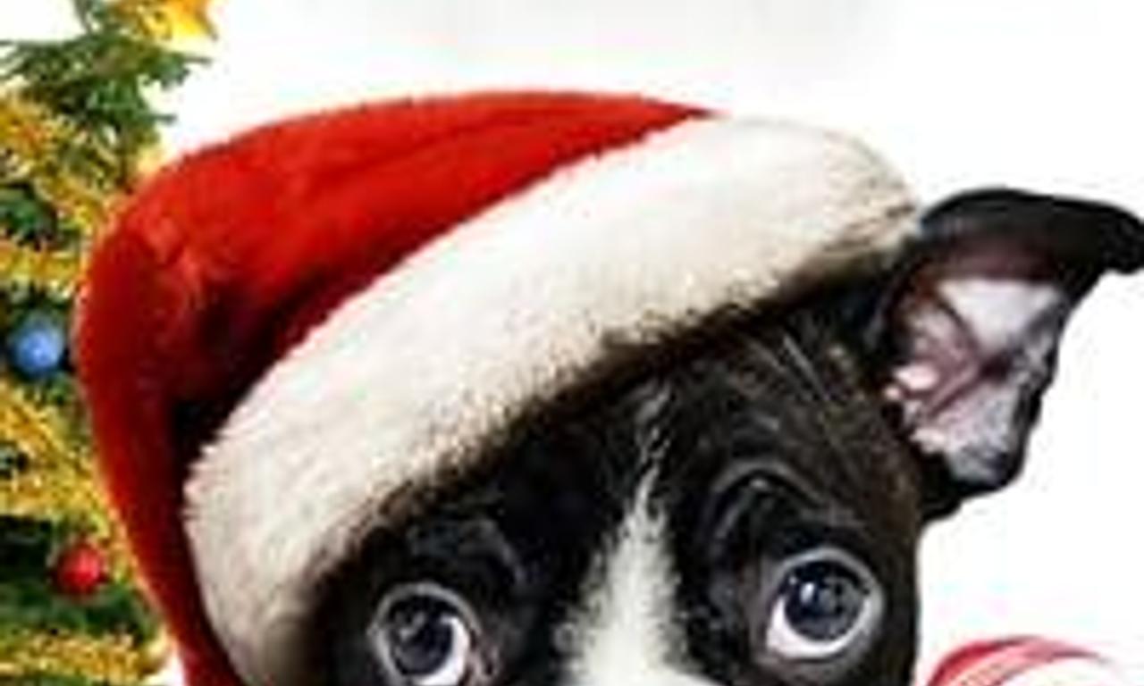 header image for Alone for Christmas