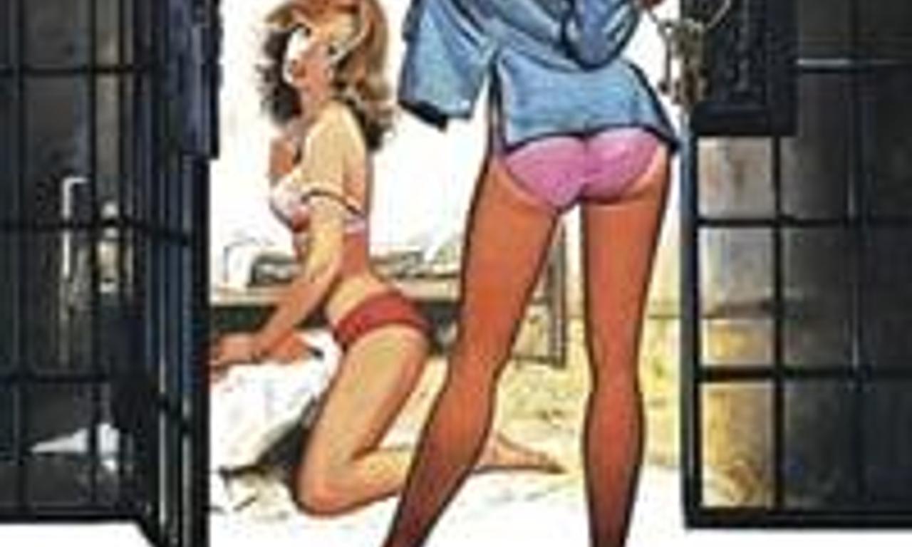 header image for The Concrete Jungle