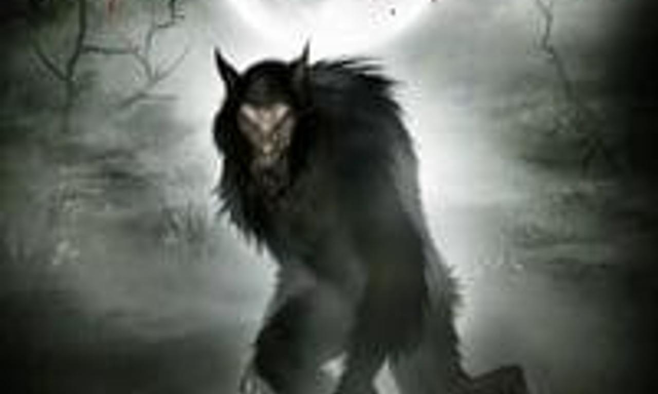 header image for The Bray Road Beast