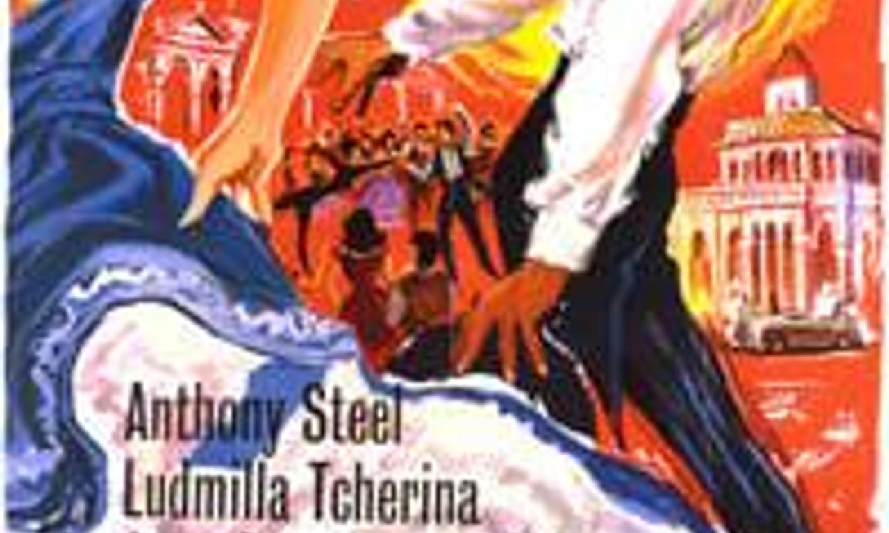 header image for Honeymoon