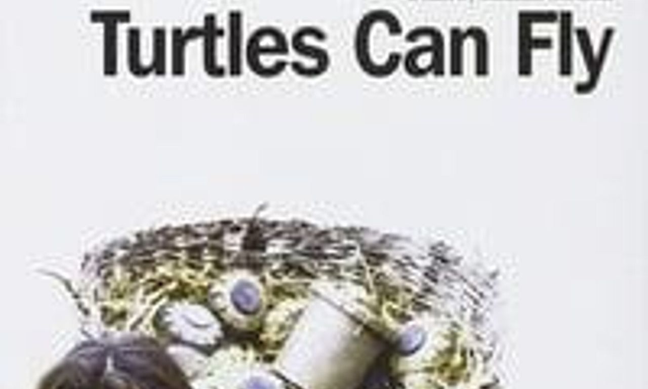 header image for Turtles Can Fly