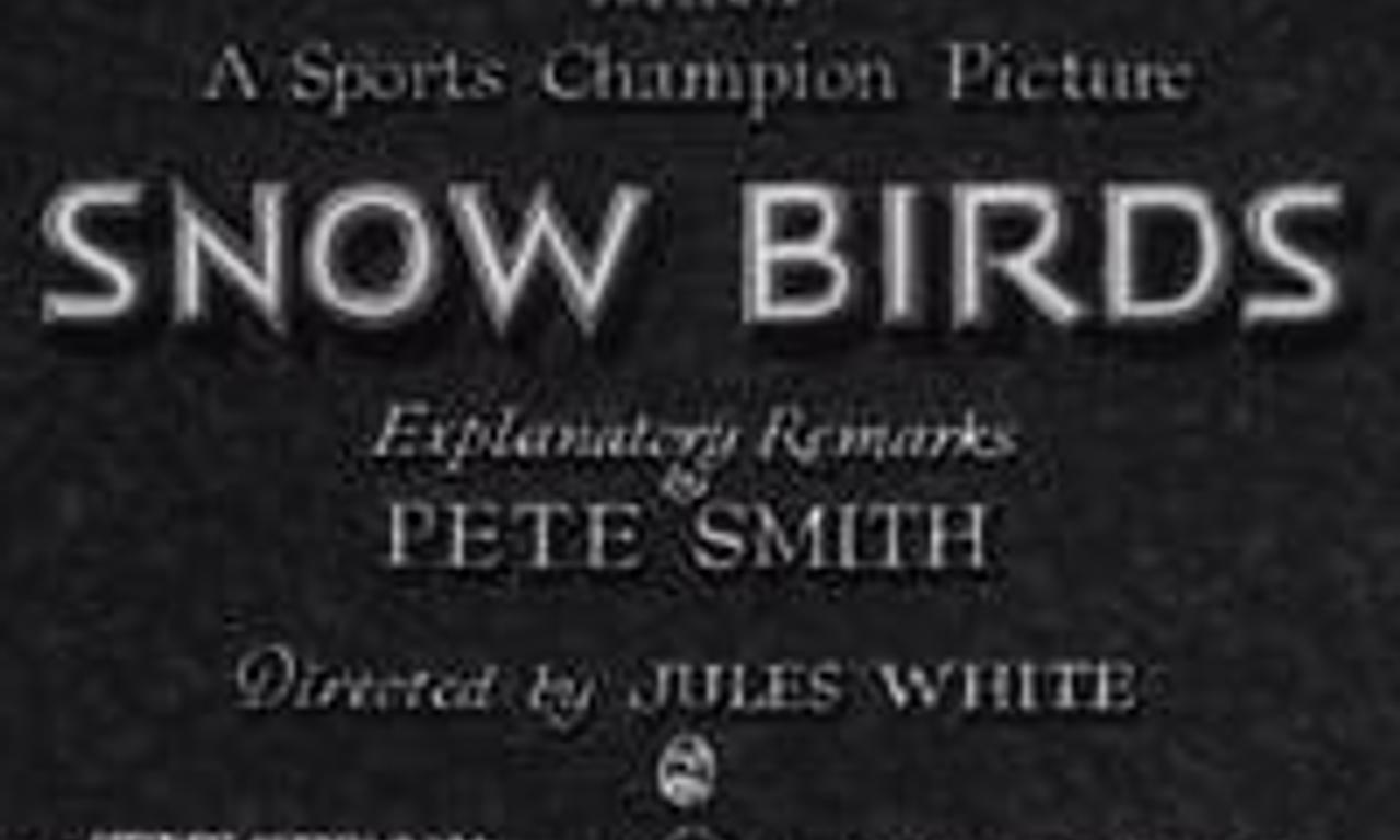 Snow Birds Where to Watch and Stream Online Entertainment.ie