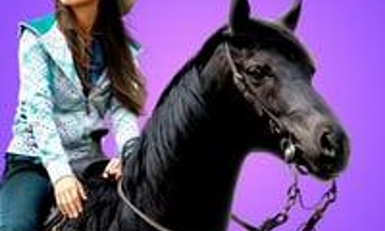 header image for Flicka 2