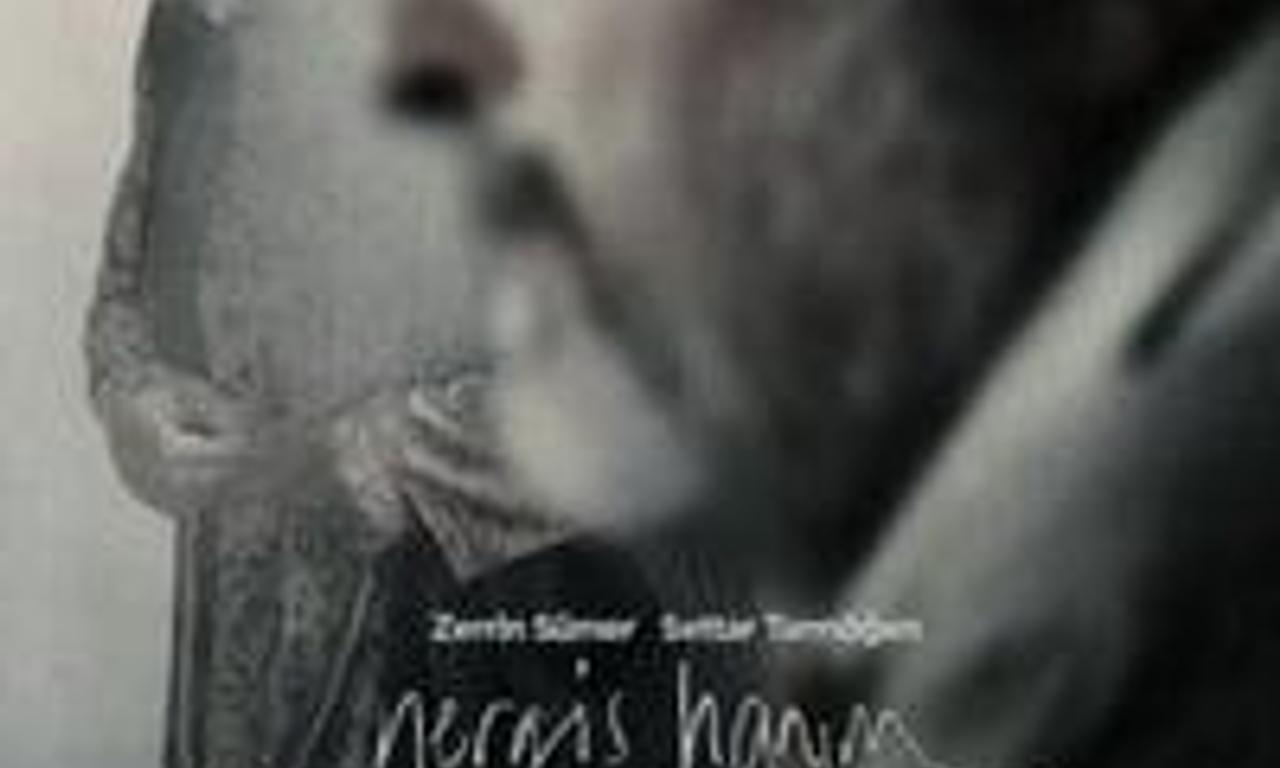 header image for Mrs Nergis