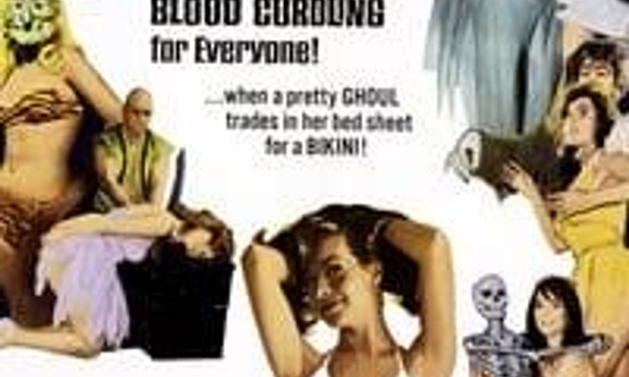 header image for The Ghost in the Invisible Bikini