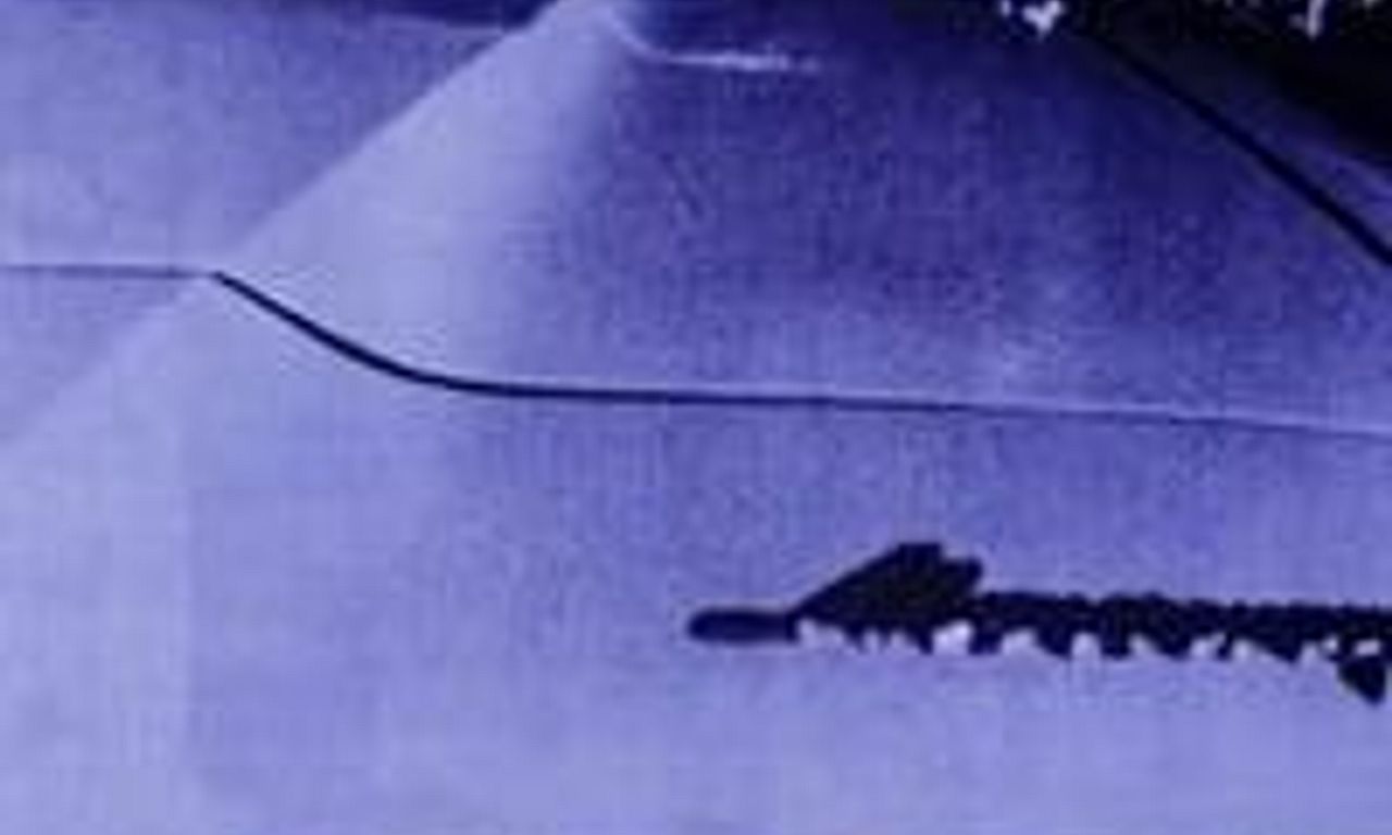 header image for The Lady in the Car with Glasses and a Gun