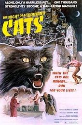 The Night of a Thousand Cats