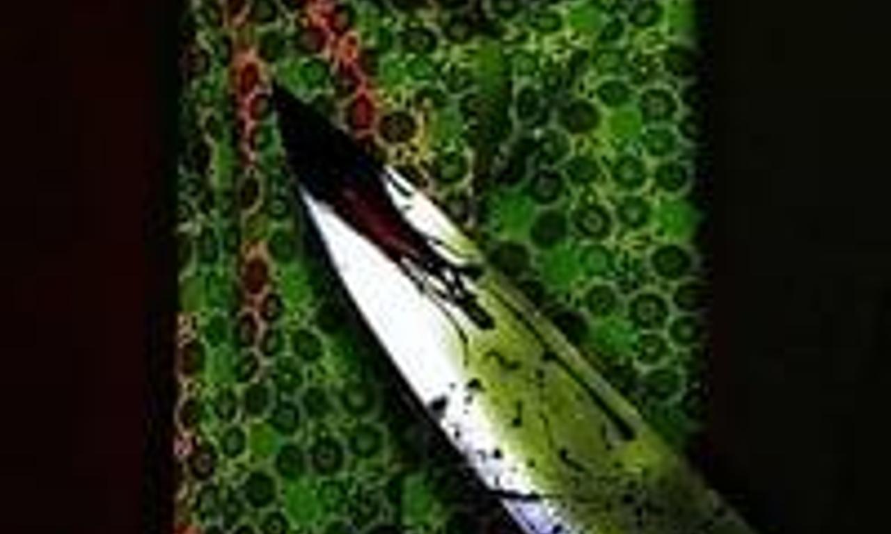 header image for Shepard