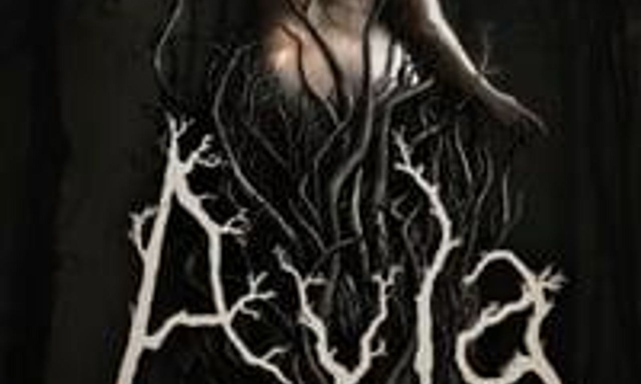 header image for Ayla