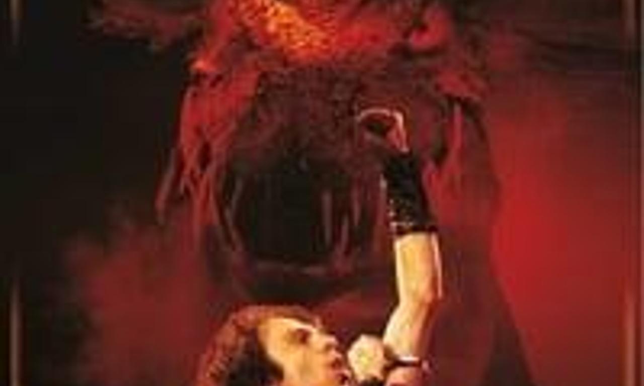 header image for Dio: Finding the Sacred Heart