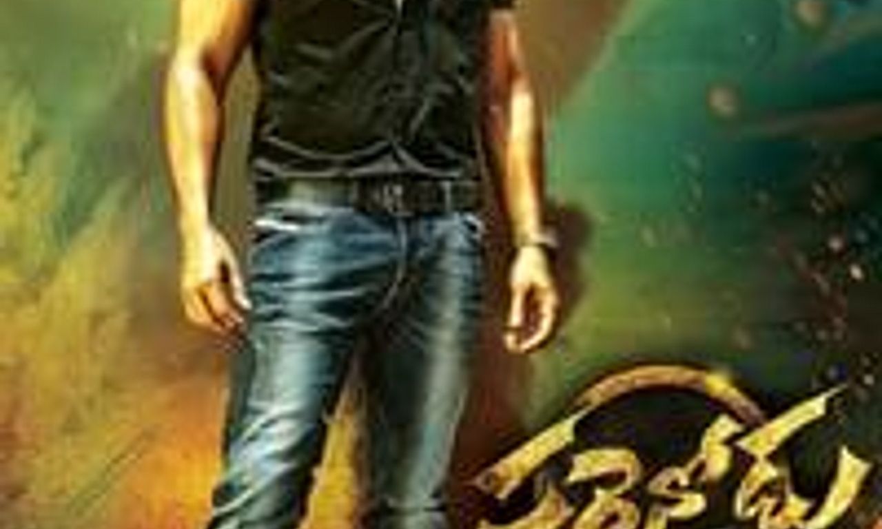 header image for Sarrainodu