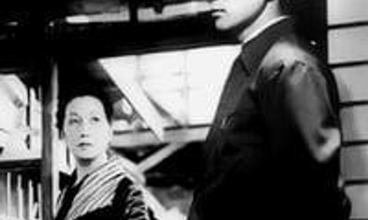 header image for Late Chrysanthemums