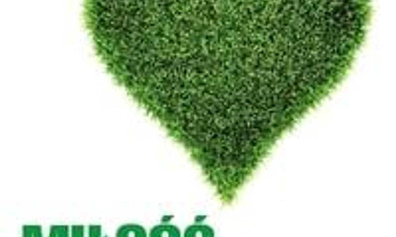 header image for The O'Briens