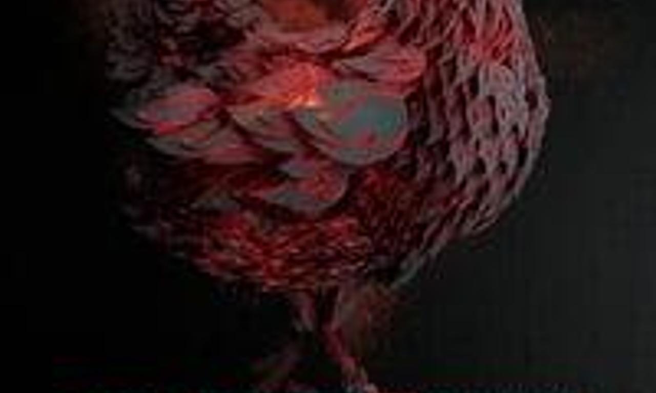 header image for The Last Schnitzel