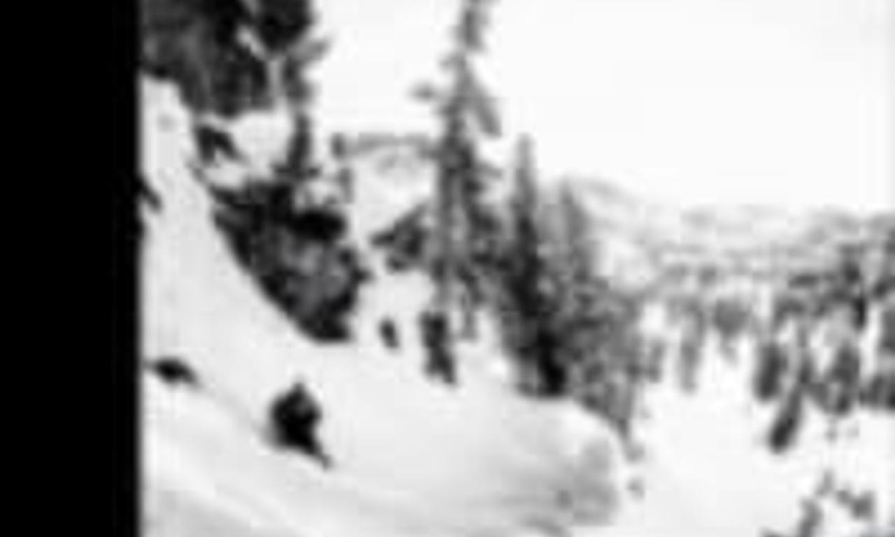 header image for Stay Tuned