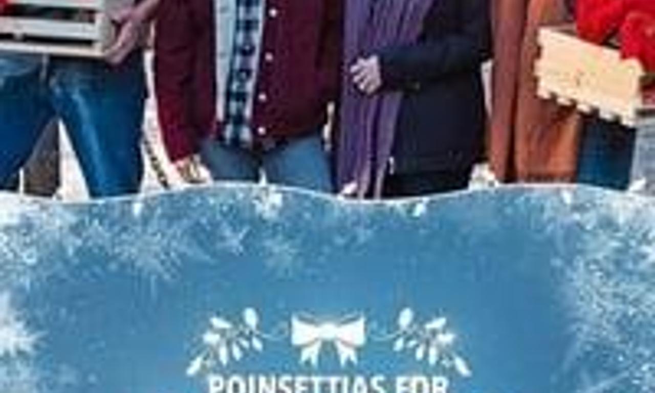 header image for Poinsettias for Christmas