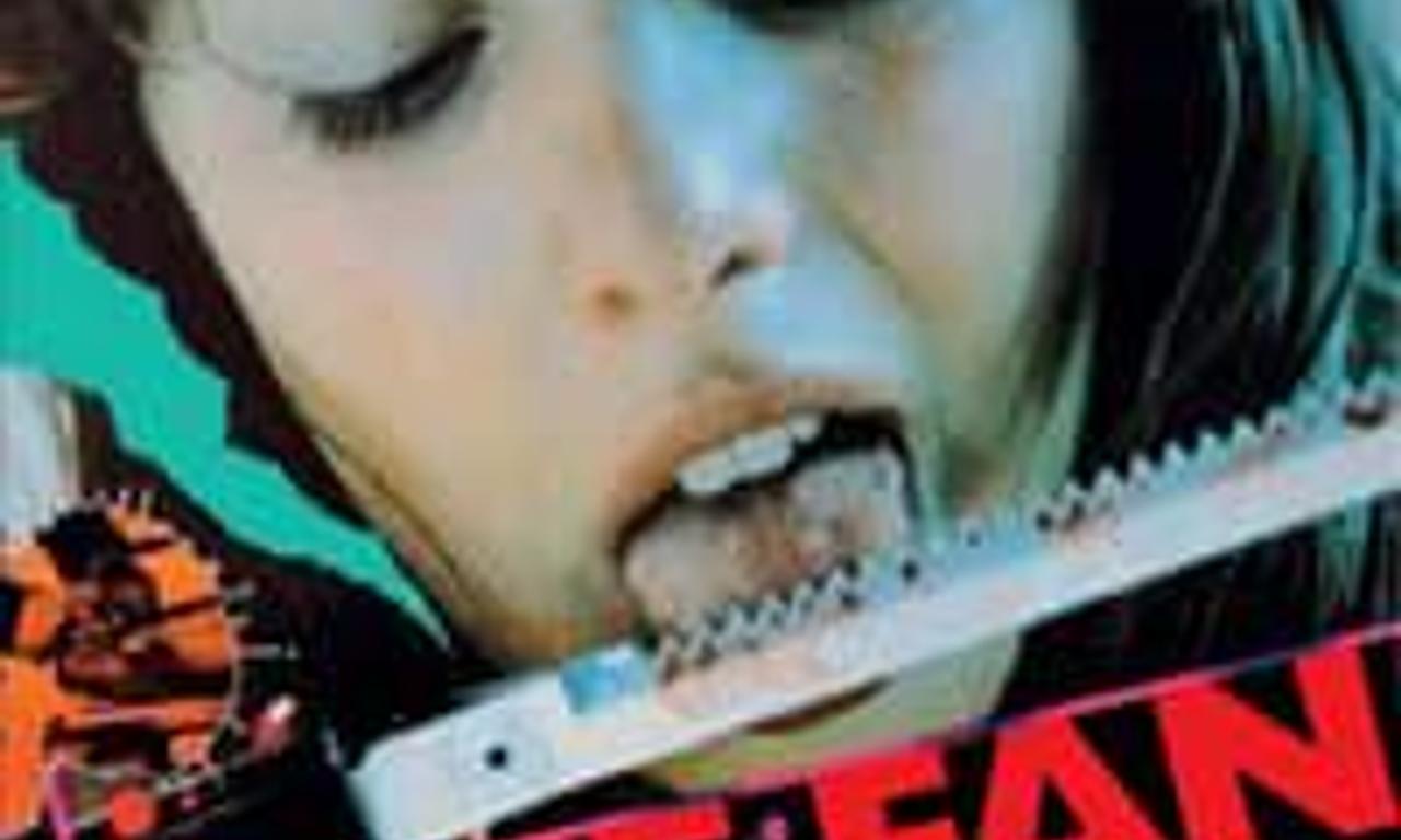 header image for The Fan