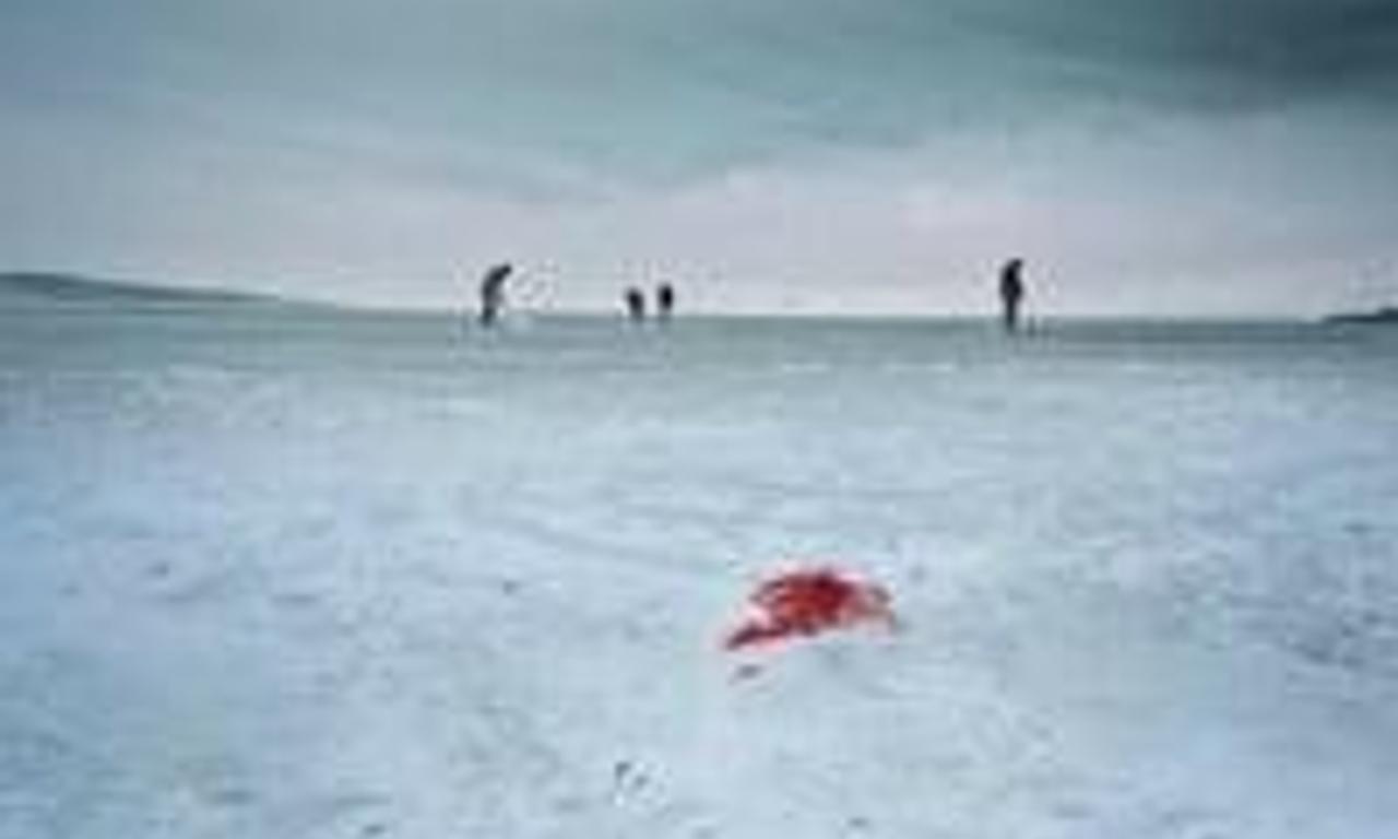 header image for Trap