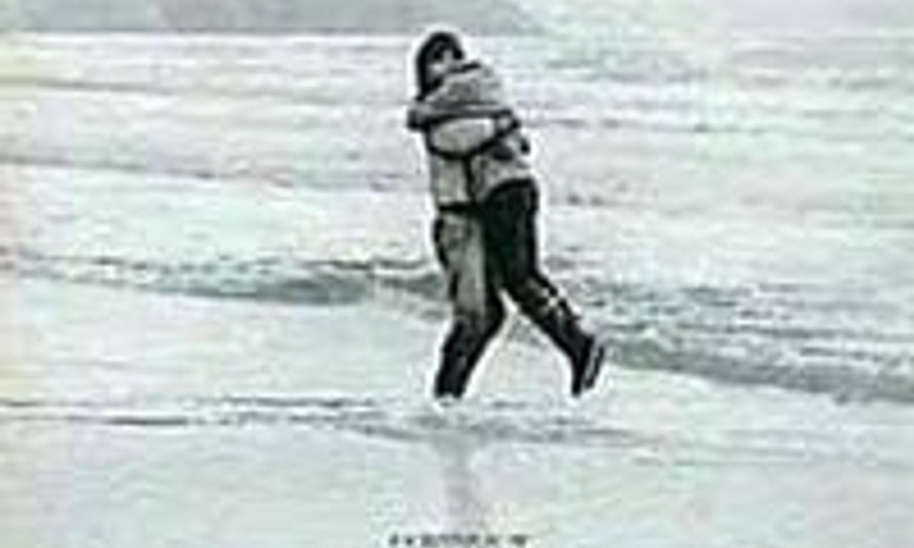 header image for Turtle Diary