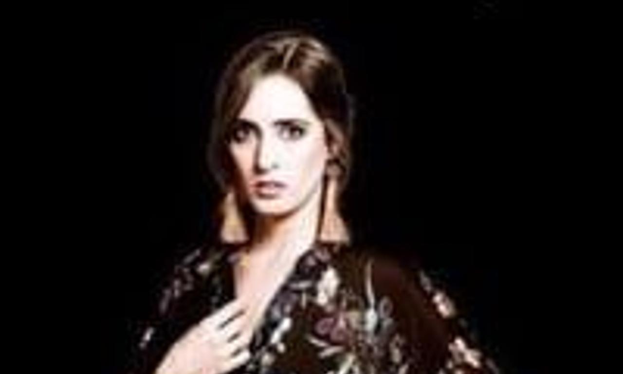 header image for Alexis de Anda: Mea Culpa