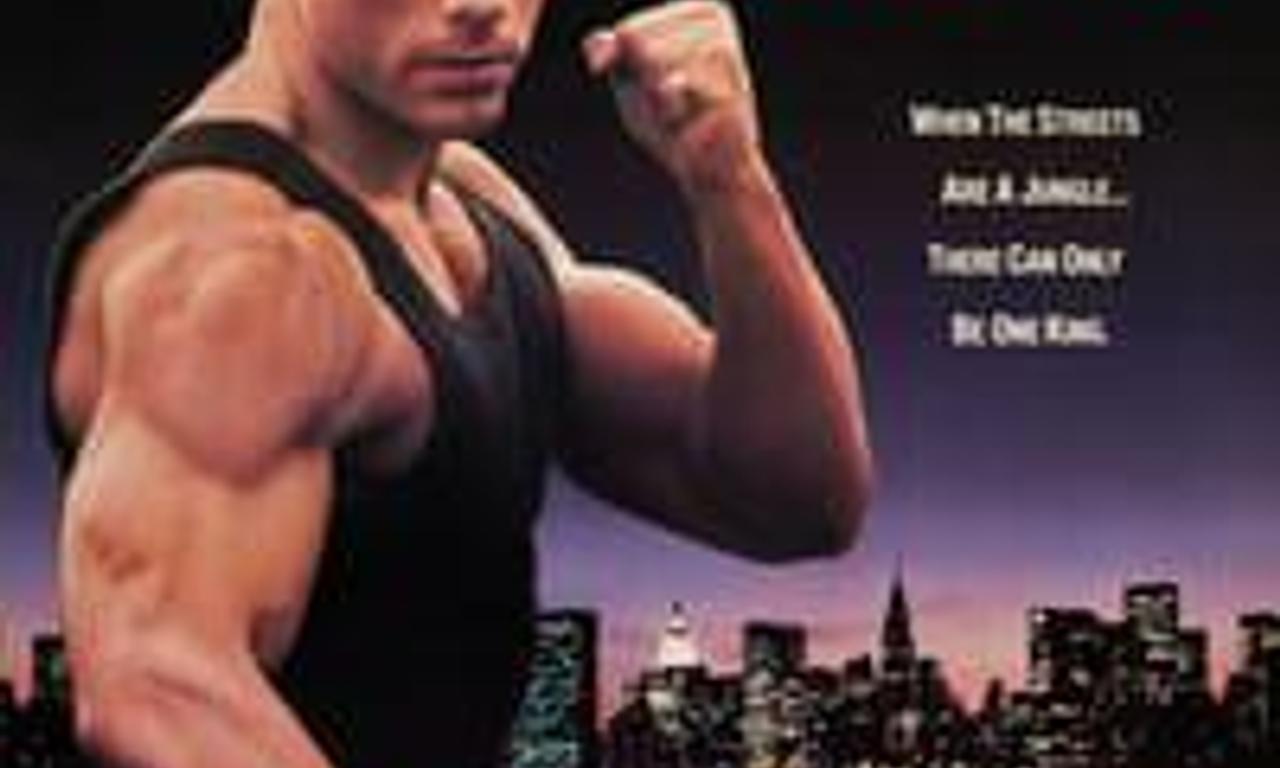 header image for Lionheart