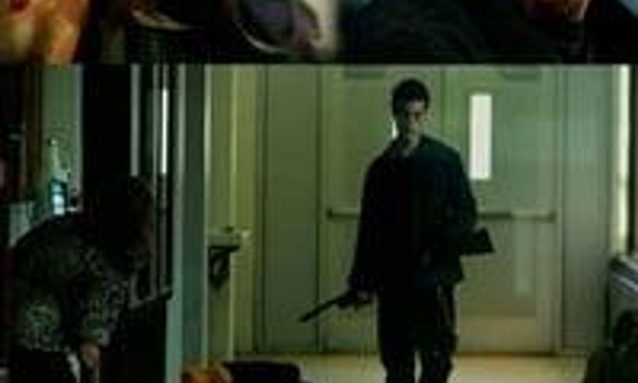 header image for White Rabbit