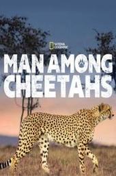Man Among Cheetahs