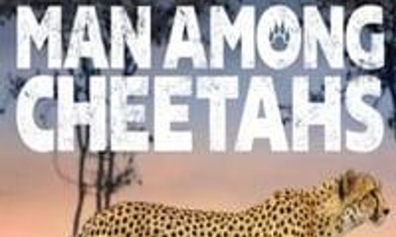 header image for Man Among Cheetahs