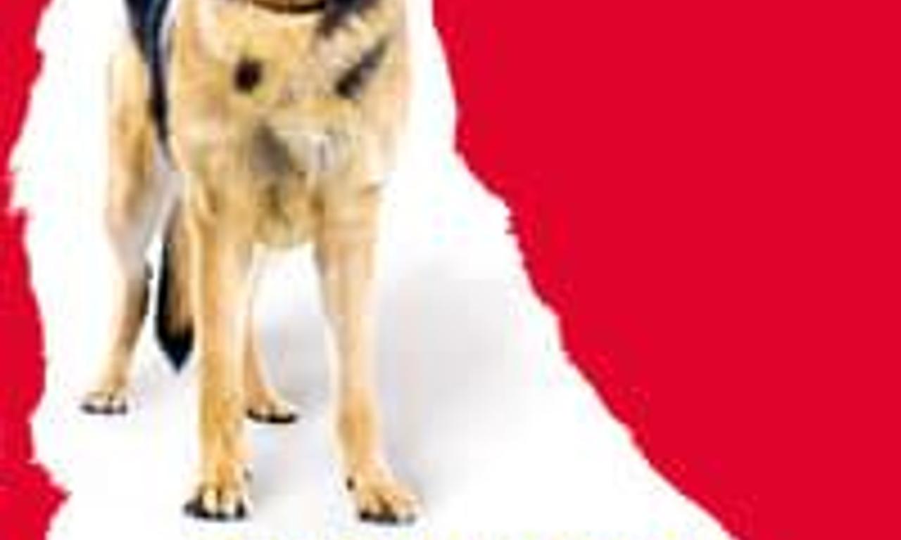 header image for Finding Rin Tin Tin