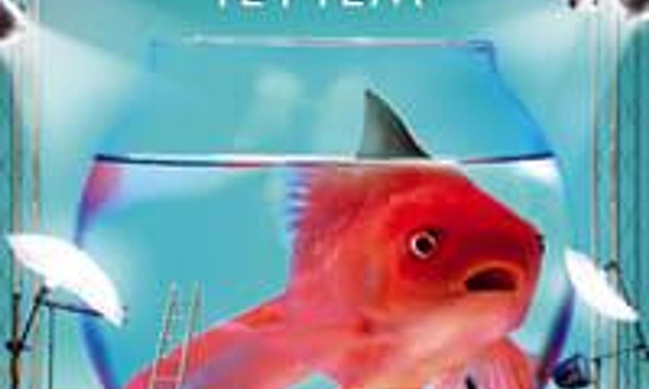 header image for Boris - Il film