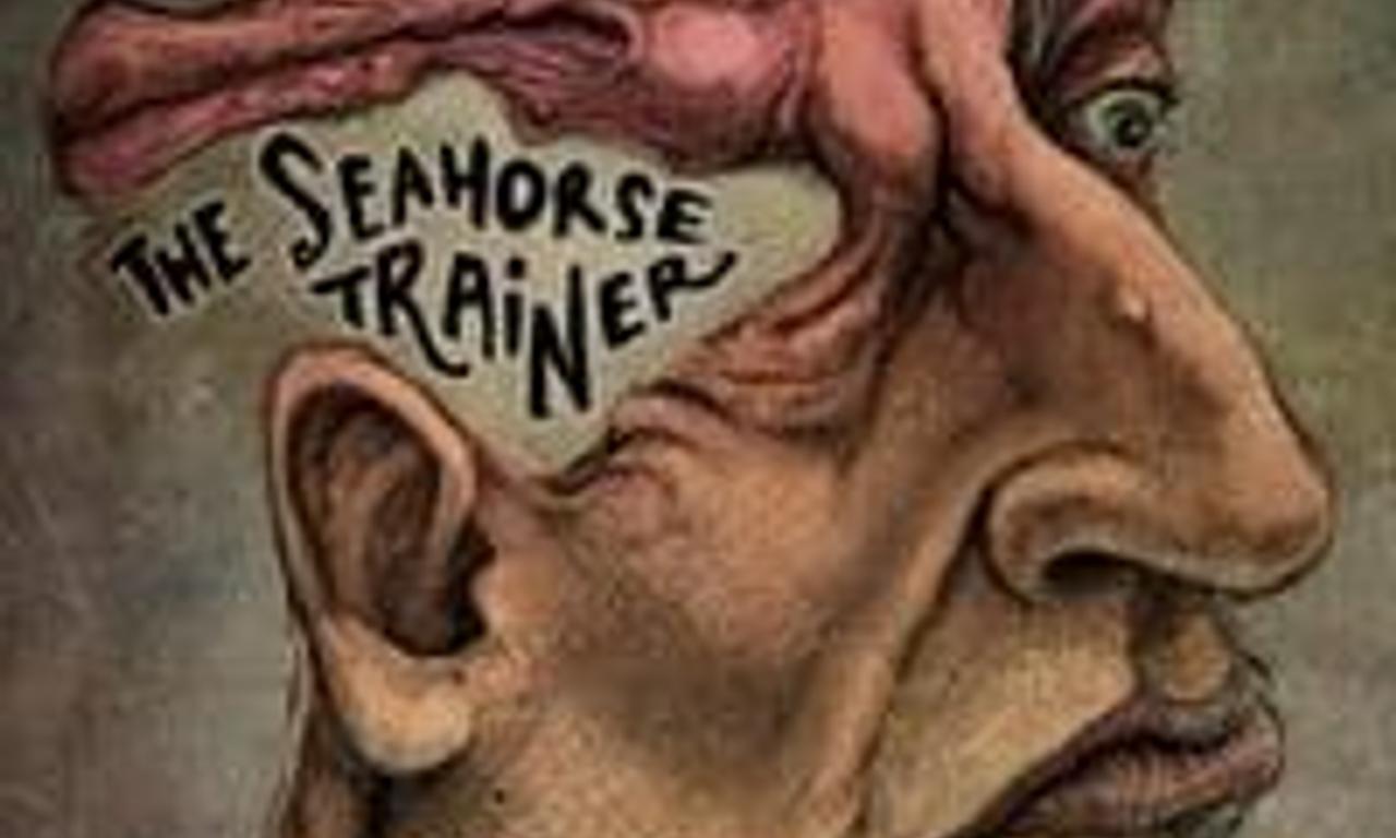 header image for The Seahorse Trainer