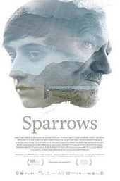 Sparrows