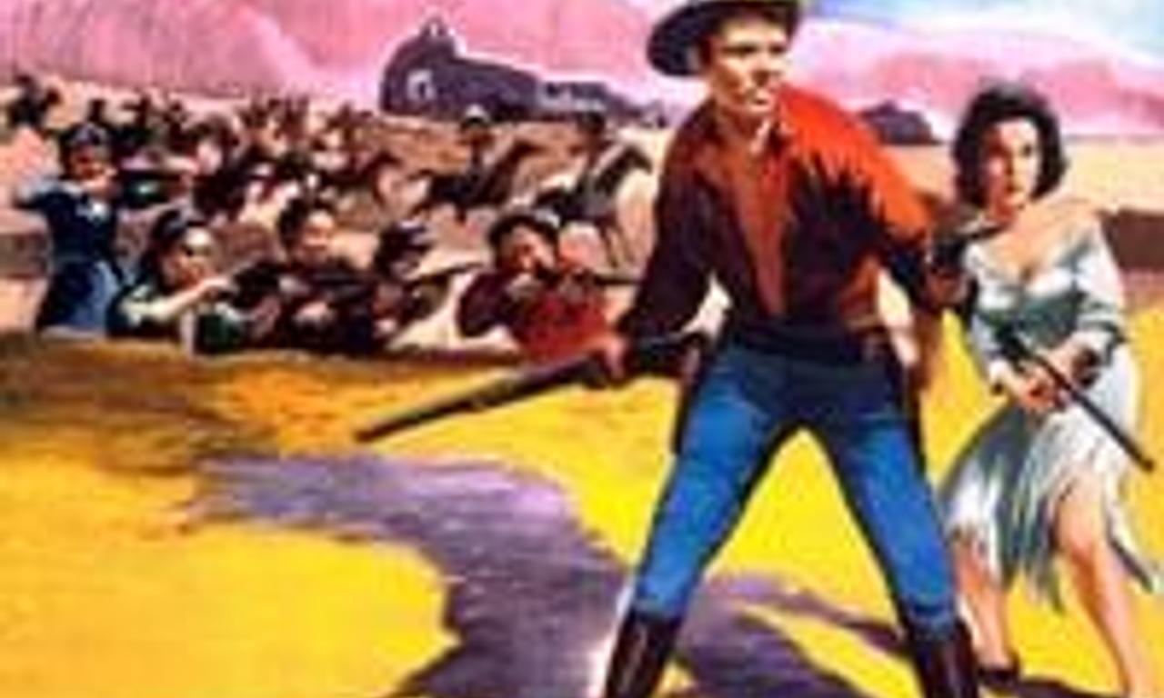 header image for The Guns of Fort Petticoat