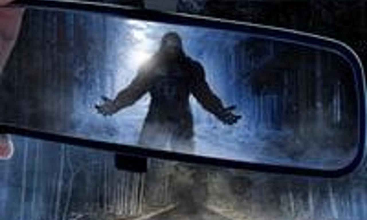 header image for The Sighting