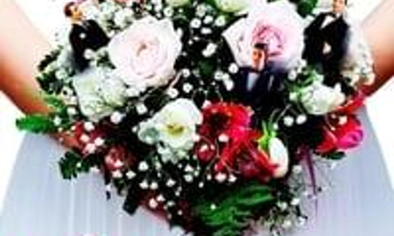 header image for Holiday Engagement