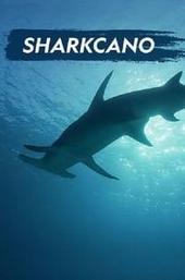 Sharkcano