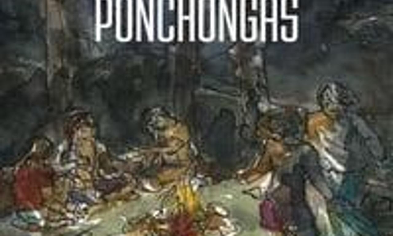 header image for La noche de las ponchongas
