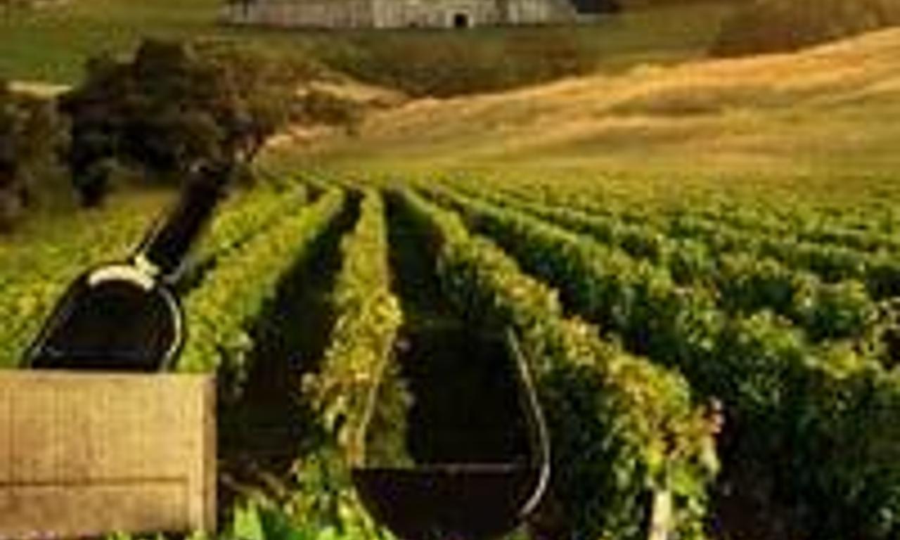 header image for Burgundy: People with a Passion for Wine