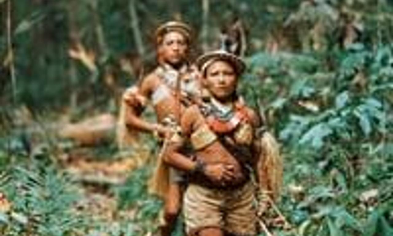 header image for Corumbiara