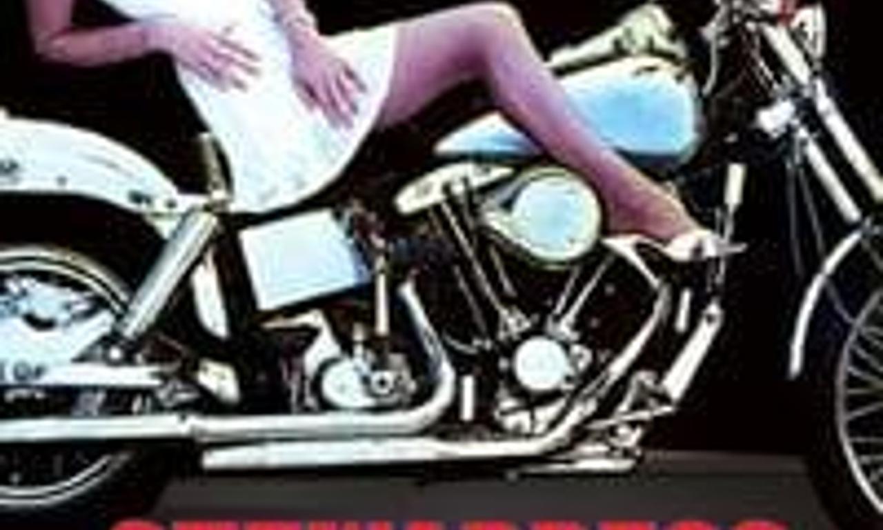 header image for Stewardess School