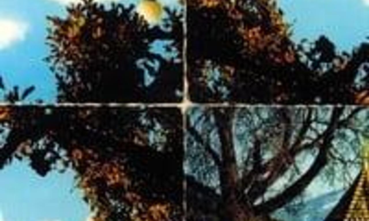 header image for Mountain Trip