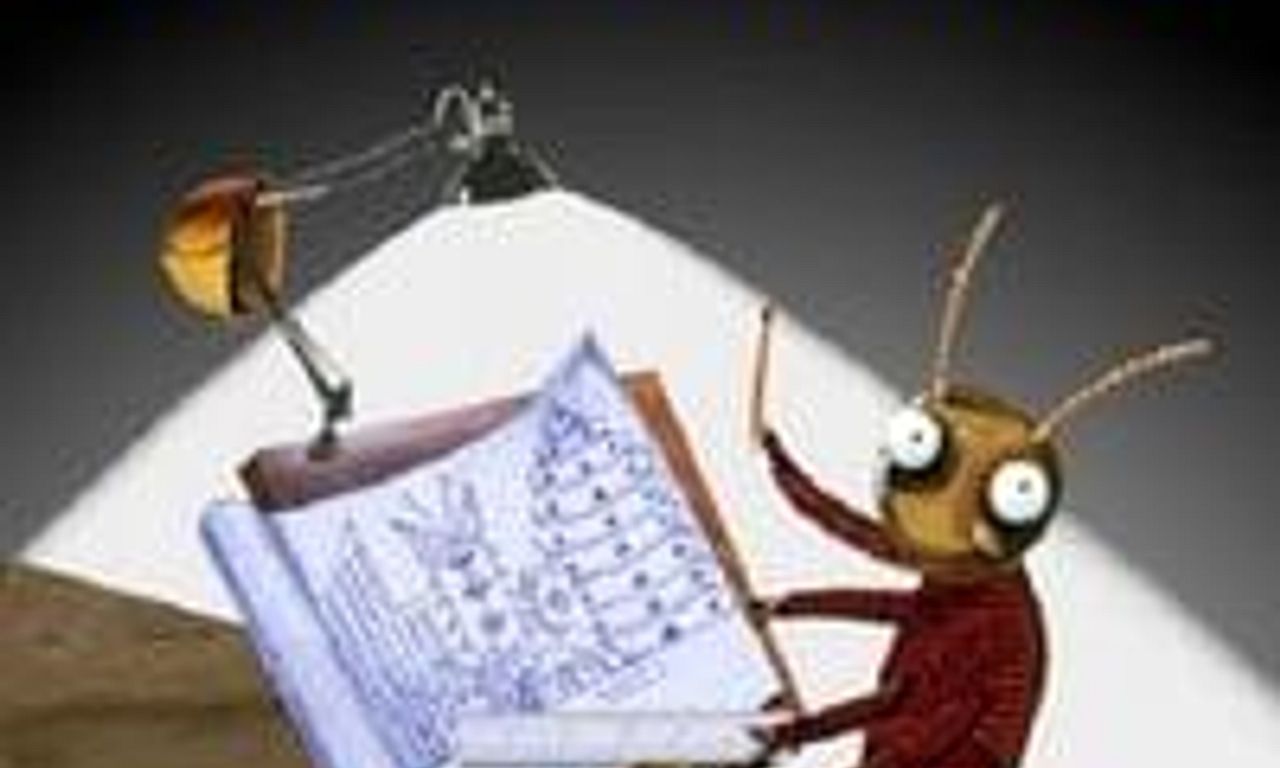 header image for Roberto the Insect Architect