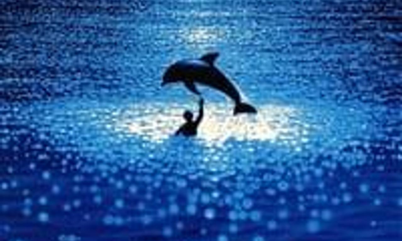 header image for The Big Blue