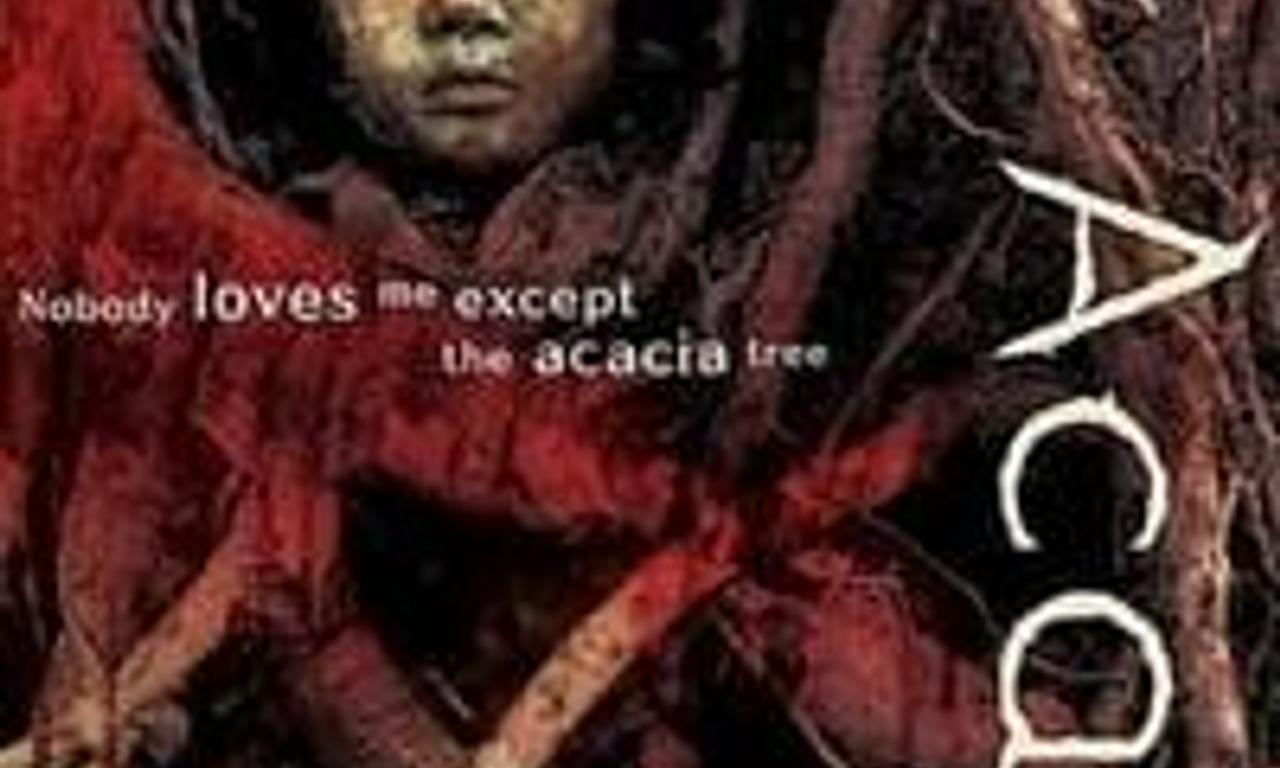 header image for Acacia