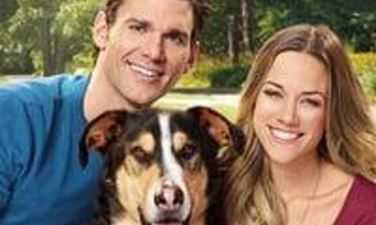 header image for Love at First Bark