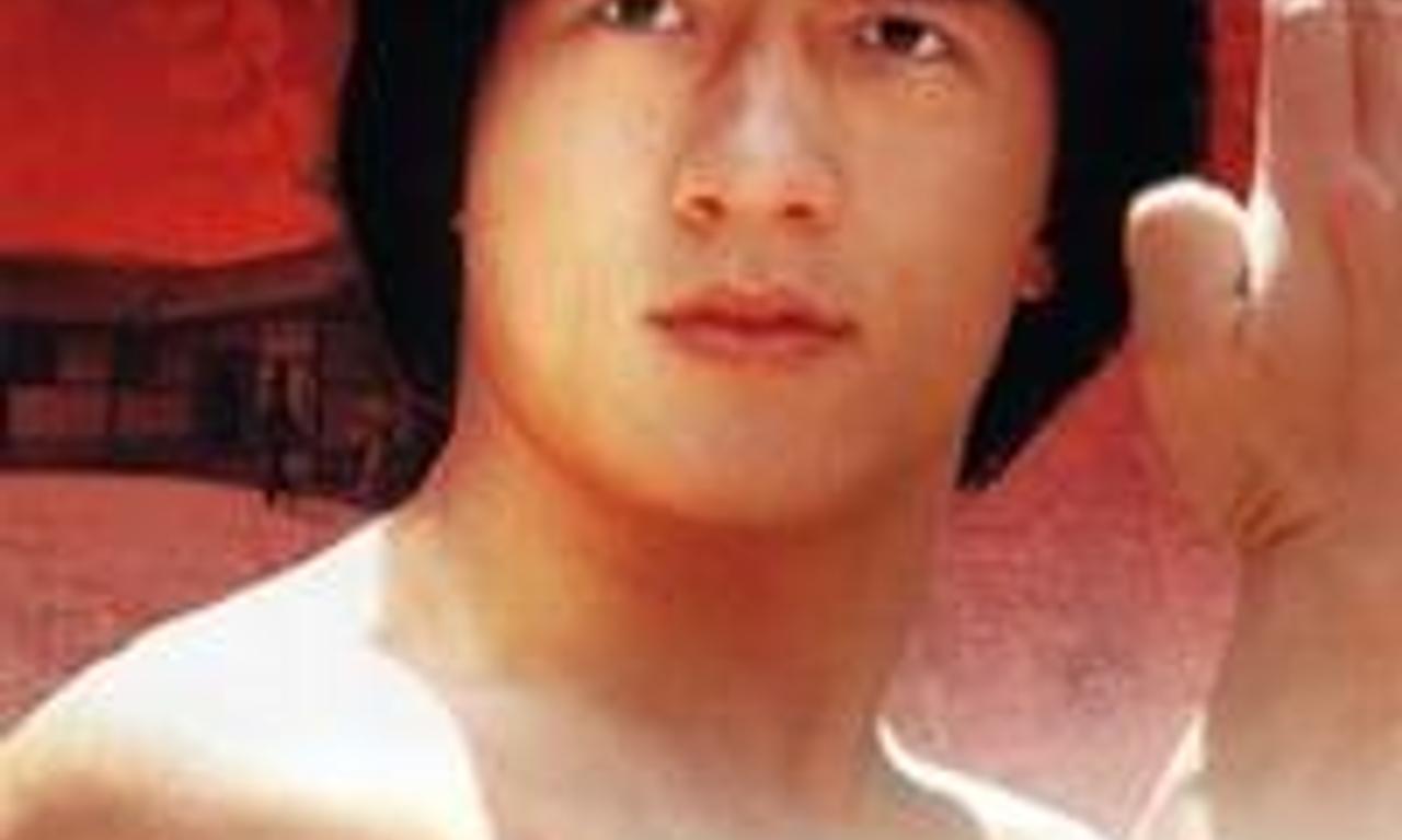 header image for Dragon Fist