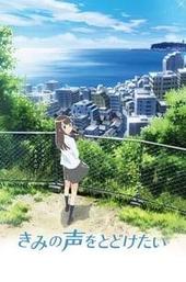 Your Voice -KIMIKOE-